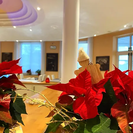 Hc Lignano Hotel